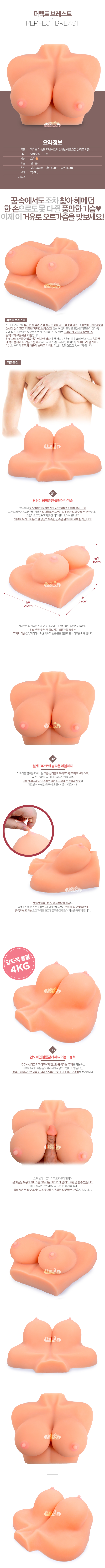 [4kg 리얼 가슴] 퍼펙트 브레스트(Xise Perfect Breast) - XS-MA40001