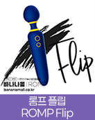 롬프 플립