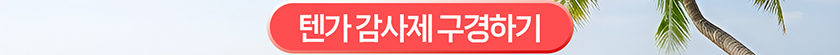 텐가 감사제 구경하기