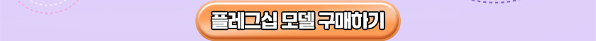 플레그십 모델 구매하기