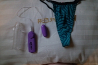 퍼플 스타 에그진동기