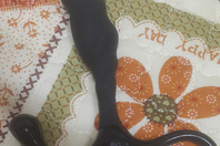 리얼꽃잎 [ZINI JANUS] 초-중급자용 안티쇼크 & 램프 시리즈 후기