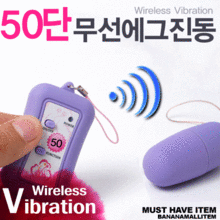 [무선진동기] 28&30&38&50단모드 무선에그진동기 (JBG)