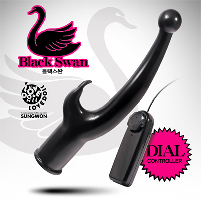 [강약진동] 블랙 스완(Black Swan)(DJ)