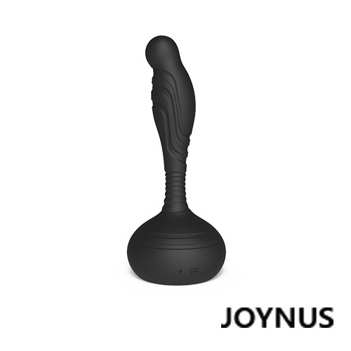 [전립선 바이브] 야누스 조이너스 시리즈(ZINI Janus Joynus) -  10단 진동/지니(DJ) 추가이미지5