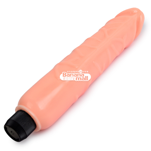 [오늘만 할인] [멀티 스피드] 완전 포경 힘줄 바이브레이터 - 바일러(BW-006027) (BIR) 추가이미지3