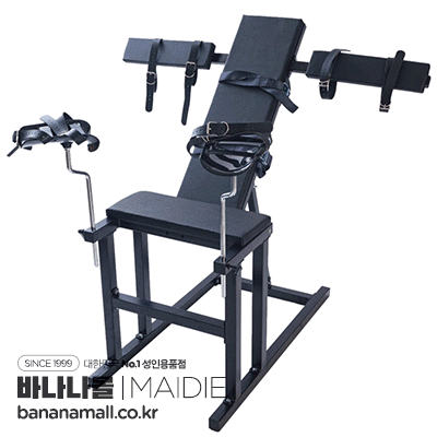 [SM 전신 구속] 암 마운티드 가이너칼러지컬 체어 & 건스(arm-Mounted Gynecological Chair&Guns)(즉시출고가능) - 마이디예(XTT-8853) (MIY)