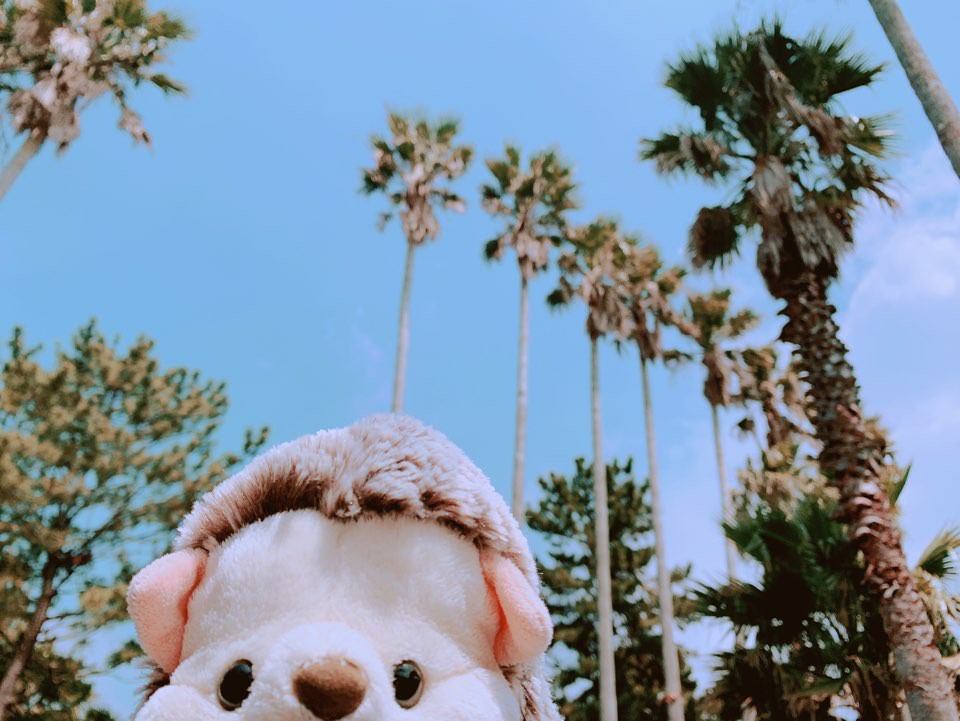 사방넷 테스트 상품 - 수정3