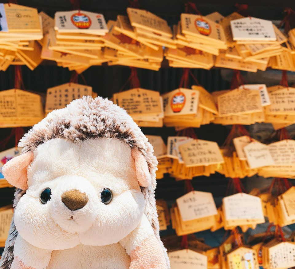 사방넷 테스트 상품 - 수정3