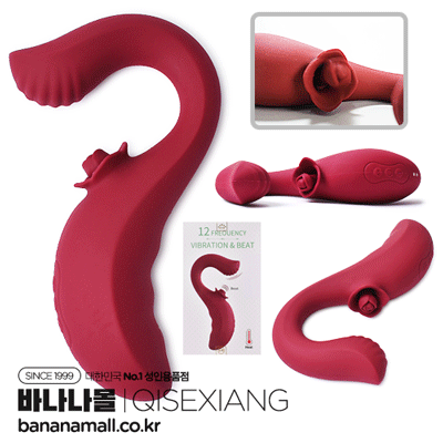 [12단 진동+ 12단 탭핑] 미드나잇 로즈 바이브레이터(Midnight Rose Vibrator) - 치세샹(QSX-MY01) (CSG)