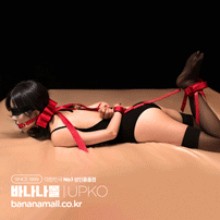 [SM 플레이] 보우낫 혹타이 포터블 본디지 기어(Bowknot Hogtie Portable Bondage Gear) - 업코(6971126865993)(BDM)