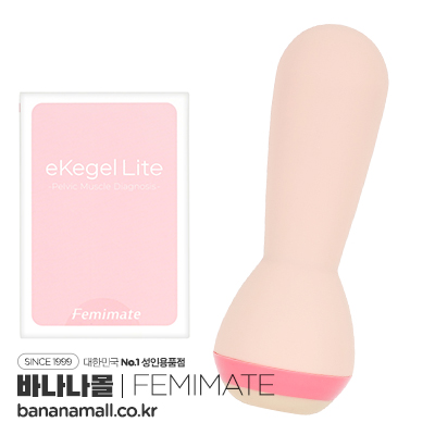 [일본 직수입] 페미메이트 전자 케겔 라이트(フェミメイト eKegel Lite) - 페미메이트(QD-1103/4582364121561) (NPR)