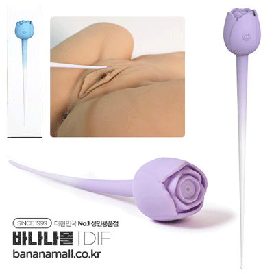 [10단진동] 로즈 티저(Rose Teaser) - DIF(DF1025)