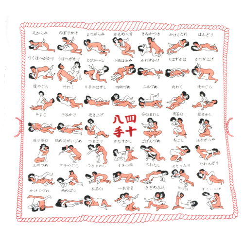 [일본 직수입] 44가지 체위 손수건 [NR] (DJ) 추가이미지2