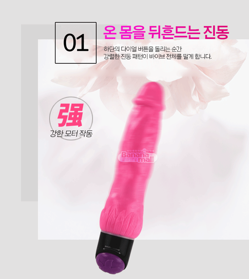 [멀티 스피드] 컬러풀 섹스 핑크 바이브(Colorful Sex Pink Vibe)