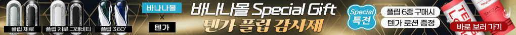 텐가 플립 감사제